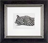 Lazing Leopard