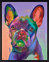 Frenchie Dreaming