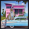 The Pink House