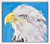 Bald Eagle II