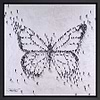 Fly By Night