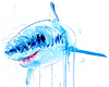 Great White VI