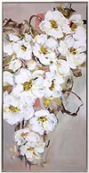 Spring Blossoms