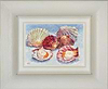 More Scallops III (Framed)