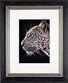 Leopard (Framed)