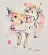 Gloucestershire Old Spot Piglet