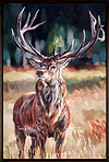 Majestic Stag (Framed)