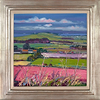 Farmland on the Road to North Berwick
