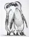 Penguins Playing