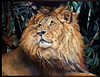 Welcome to the Jungle (Framed)