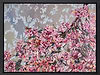 Floral Beauty (Framed)