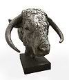 Longhorn Bull Head - 2017