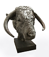 Longhorn Bull Head - 2017