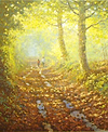 Forest Trail