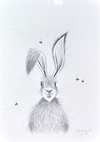 Hares Best Friends