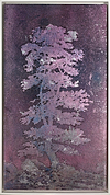 Tall Pink Tree