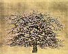 A Tree In Bloom