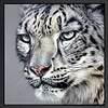 Vigilant (Framed)
