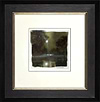 Natures Glory(study) (Framed)