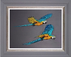 Flying (Framed)