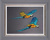 Flying (Framed)