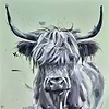 Hebrides Beauty