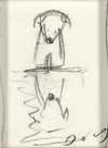 Paws for Reflection III (study)