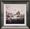 Through Blossom Fields I (Framed)