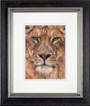 Viridis (Framed)