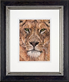 Viridis (Framed)