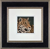 Dignified (Framed)