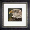The Eagle Has Landed (Framed)
