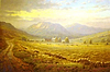 Highland Pastures