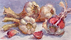 Garlic V