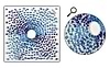 Vortex (Blue)