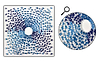 Vortex (Blue)