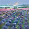 Field of Blues