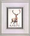 Alert - Red Stag (Framed)