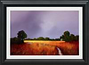 Enduring Light (Framed)