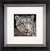 Emergence (Framed)