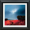 Crimson Fields of Home (Framed)