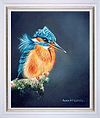 Kingfisher (Framed)