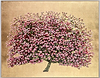 Ophelia Flowering Cherry Blossom (Framed)