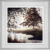 Roaming Free (Framed)