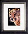 Cheetah (Framed)