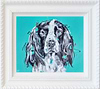 Springer Sparkle (Framed)