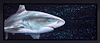 Caribbean Blue (Framed)