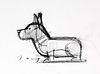 Garden Party Corgi Study