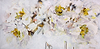White Desires