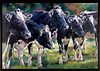 All In A Row (Framed)